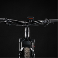 Bike Mount