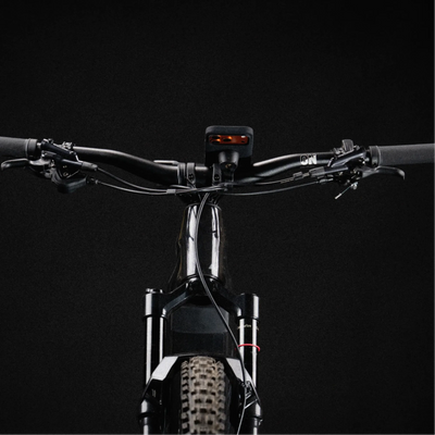 Bike Mount